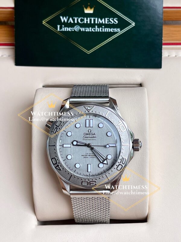 Omega Seamaster Diver 300M Grey Dial VSF Factory