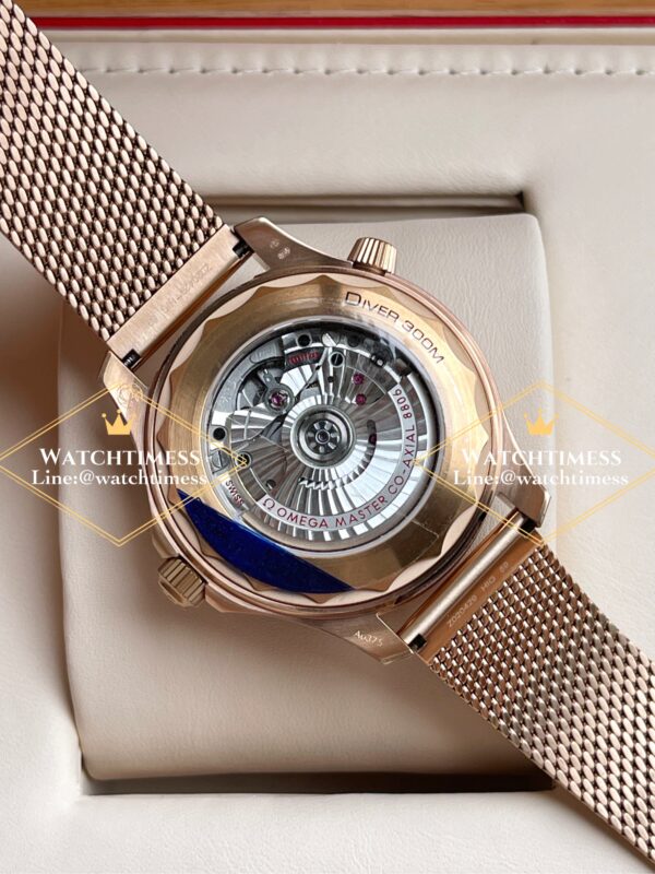 Omega Seamaster Diver 300m Bronze Gold VSF Factory - Image 11