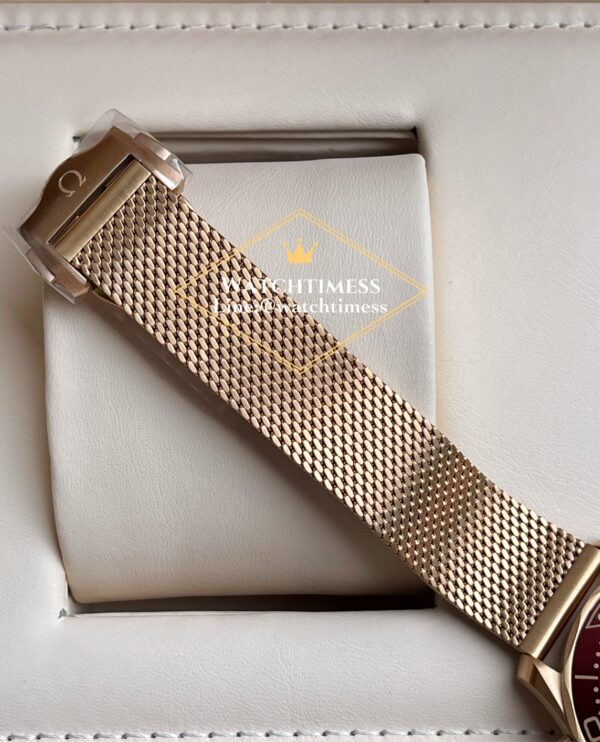 Omega Seamaster Diver 300m Bronze Gold VSF Factory - Image 10